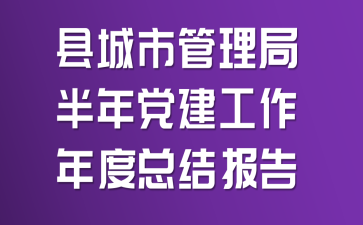 �س��й����ְ��굳����������ܽᱨ��