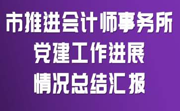 市推进会计师事务所党建工作进展情况总结汇报