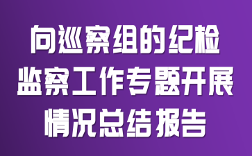 向巡察组的纪检监察工作专题开展情况总结报告