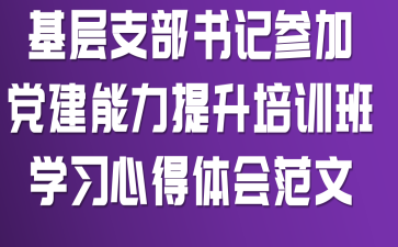 基层支部书记参加党建能力提升培训班学习心得体会范文