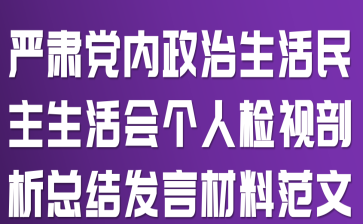 严肃党内政治生活民主生活会个人检视剖析总结发言材料范文