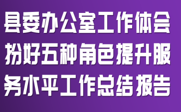 县委办公室工作体会:扮好五种角色 提升服务水平工作总结报告