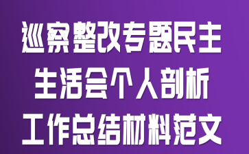 巡察整改专题民主生活会个人剖析工作总结材料范文