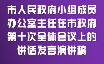 市人民政府小组成员、办公室主任在市政府第十次全体会议上的讲话发言演讲稿