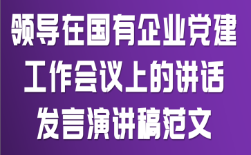 领导在国有企业党建工作会议上的讲话发言演讲稿范文