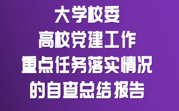 大学校委《高校党建工作重点任务》落实情况的自查总结报告
