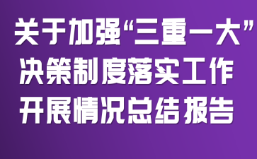 关于加强“三重一大”决策制度落实工作开展情况总结报告