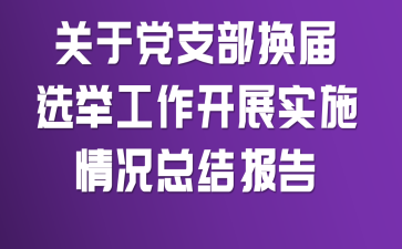 关于党支部换届选举工作开展实施情况总结报告