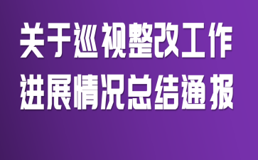 关于巡视整改工作进展情况总结通报