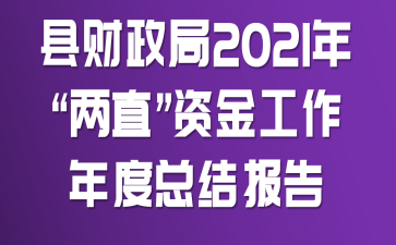 �ز�����2021�ꡰ��ֱ���ʽ�������ܽᱨ��