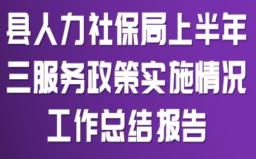 �������籣���ϰ�������������ʵʩ��������ܽᱨ��