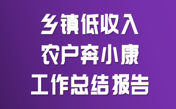 ���������ũ����С�������ܽᱨ��
