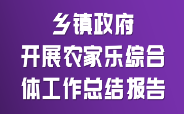 ����������չũ�����ۺ��幤���ܽᱨ��