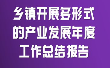 ����չ����ʽ�Ĳ�ҵ��չ��ȹ����ܽᱨ��