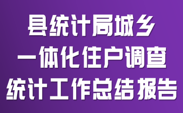 ��ͳ�ƾֳ���һ�廯ס������ͳ�ƹ����ܽᱨ��