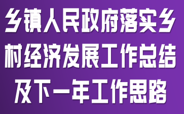 ��������������ʵ��徭�÷�չ�����ܽἰ��һ�깤��˼·