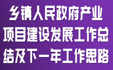 ��������������ҵ��Ŀ���跢չ�����ܽἰ��һ�깤��˼·