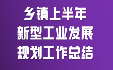 乡镇上半年新型工业发展规划工作总结