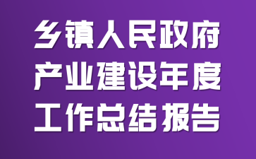 乡镇人民政府产业建设年度工作总结报告