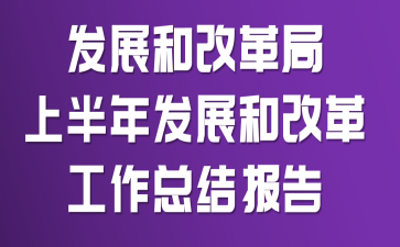 发展和改革局上半年发展和改革工作总结报告