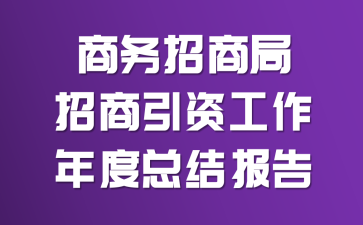 商务招商局招商引资工作年度总结报告