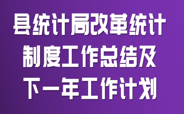 县统计局改革统计制度工作总结及下一年工作计划