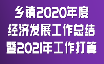 乡镇2020年度经济发展工作总结暨2021年工作打算