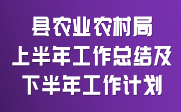 县农业农村局上半年工作总结及下半年工作计划