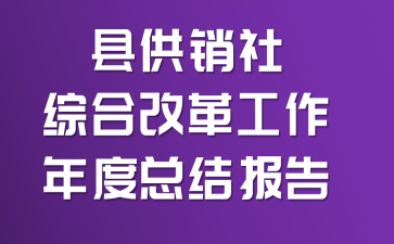 县供销社综合改革工作年度总结报告