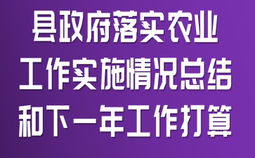 ��������ʵũҵ����ʵʩ����ܽ����һ�깤������