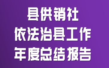 县供销社依法治县工作年度总结报告
