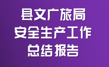 县文广旅局安全生产工作总结报告