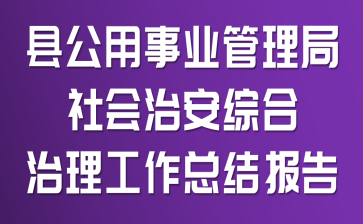 县公用事业管理局社会治安综合治理工作总结报告
