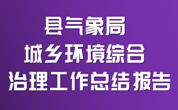 ������ֳ��绷���ۺ����������ܽᱨ��