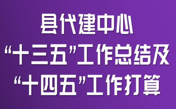 县代建中心“十三五”工作总结及“十四五”工作打算