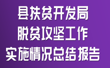 县扶贫开发局脱贫攻坚工作实施情况总结报告