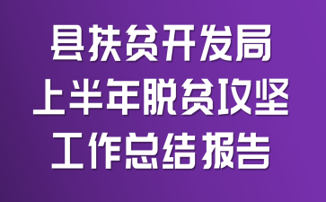 县扶贫开发局上半年脱贫攻坚工作总结报告