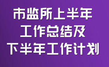 市监所上半年工作总结及下半年工作计划