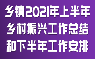 乡镇2021年上半年乡村振兴工作总结和下半年工作安排
