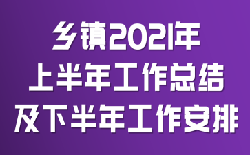 乡镇2021年上半年工作总结及下半年工作安排