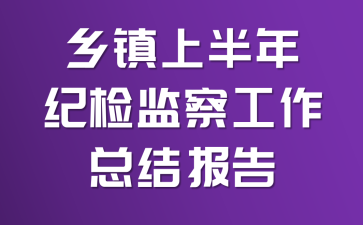 乡镇上半年纪检监察工作总结报告