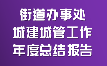 街道办事处城建城管工作年度总结报告
