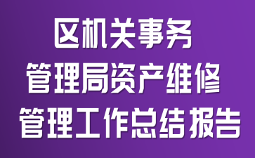 ����������������ʲ�ά�޹��������ܽᱨ��