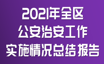 2021年全区公安治安工作实施情况总结报告