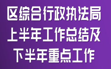 区综合行政执法局上半年工作总结及下半年重点工作