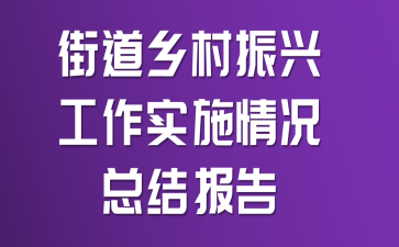 街道乡村振兴工作实施情况总结报告