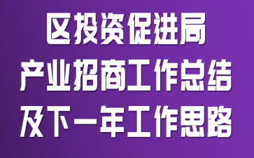 ��Ͷ�ʴٽ��ֲ�ҵ���̹����ܽἰ��һ�깤��˼·