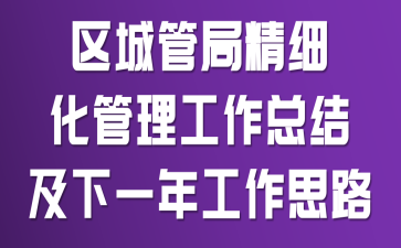 ���ǹܾ־�ϸ�����������ܽἰ��һ�깤��˼·