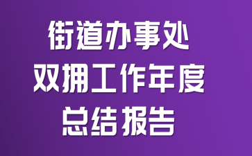 �ֵ����´�˫ӵ��������ܽᱨ��