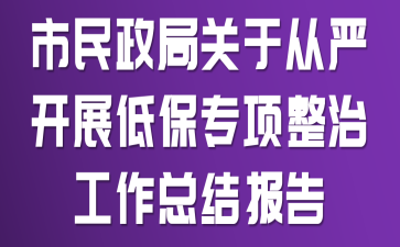 �������ֹ��ڴ��Ͽ�չ�ͱ�ר�����ι����ܽᱨ��